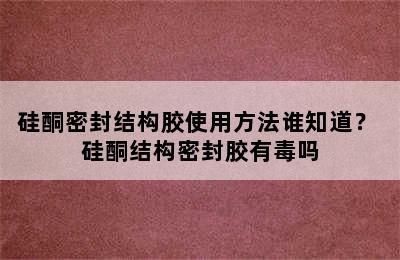 硅酮密封结构胶使用方法谁知道？ 硅酮结构密封胶有毒吗